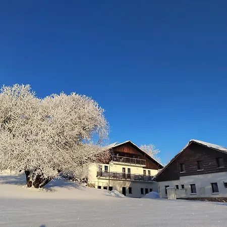 Penzion U Kovare - Vedlejsi Budova * Novy Hradek